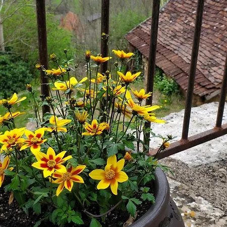 Cap Del Mas Ambeyrac