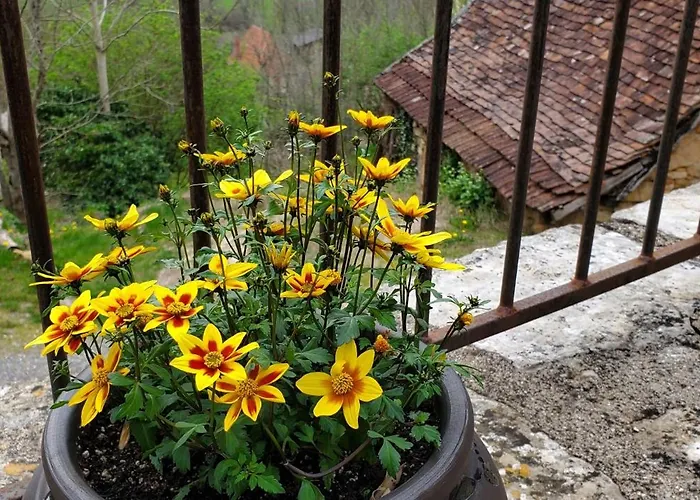 Cap Del Mas Ambeyrac