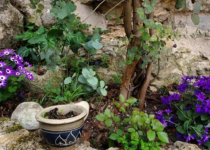 Cap Del Mas * Ambeyrac